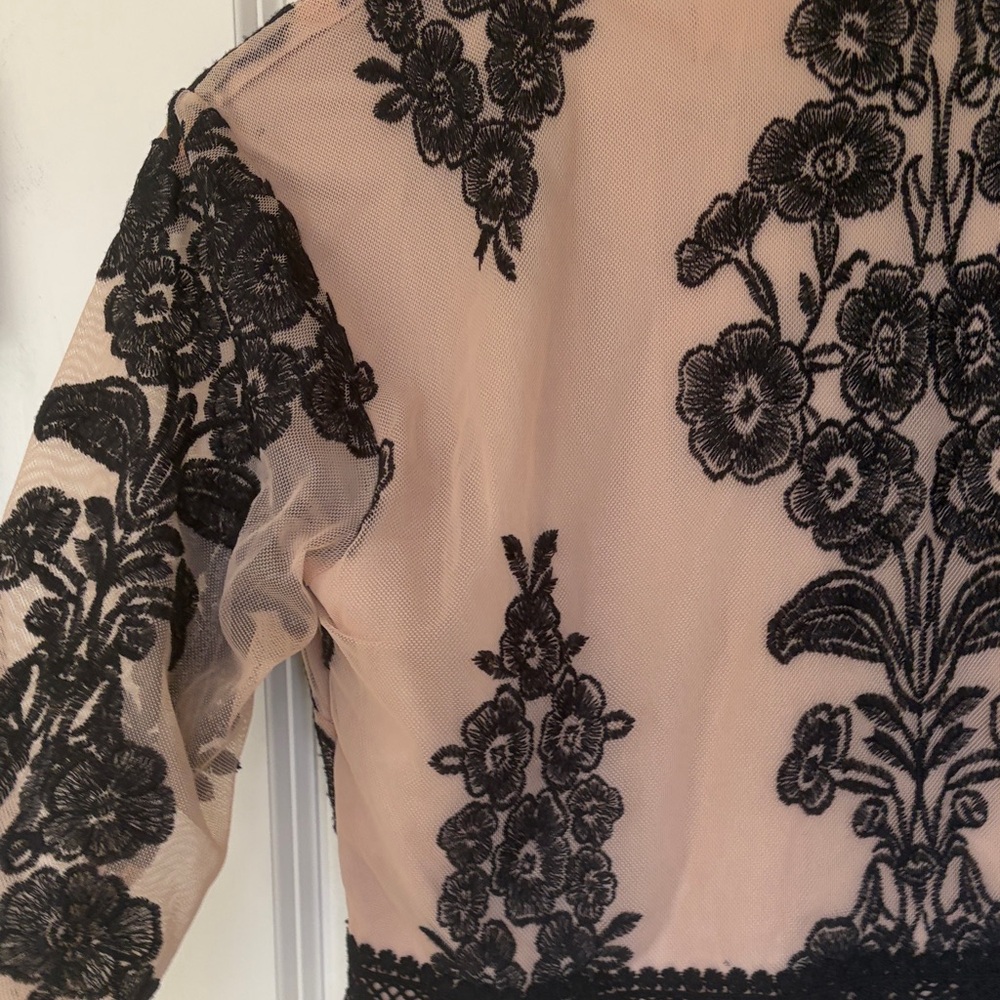 Altar'd State Black Floral Embroidered Sheer V-Neck Crop Top on Nude - Picture 4 of 7